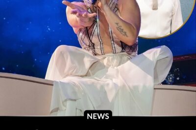 When Bad Bunny told the world they had “four months to learn Spanish,” P!nk didn’t just laugh — she took the challenge head-on. Midway through her Las Vegas show, the powerhouse rocker grinned and declared, “I’ve started learning Spanish, people!” sending the crowd into a frenzy. But it was what she said next that hit home: “Music connects us before words ever do. It’s soul — not subtitles.”