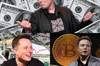 $20B gone in 24 hours! Elon Musk faces a staggering one-day loss that shook Wall Street and stunned fans worldwide—raising big questions about what really happened