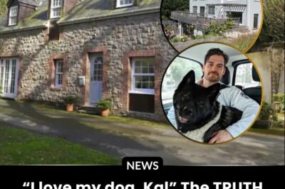 Henry Cavill lives in a converted stable in a ‘charming’ part of the UK