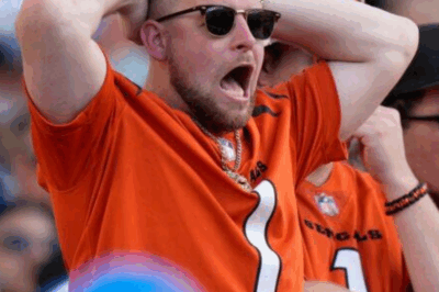 Cincinnati Bengals Fan’s Bold Attempt to Cancel Season Tickets Sparks Unforeseen Response from the Team