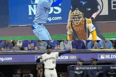 VIDEO: A Brewers-Cubs playoff game decided by one run… and completely stolen by THIS. The shocking photos and video you HAVE to see to believe.