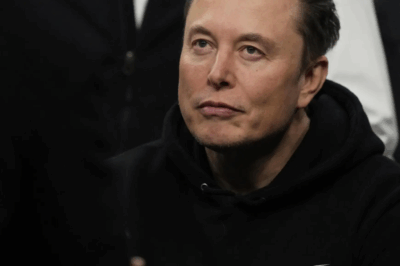 Elon Musk launches Grokipedia to compete with online encyclopedia Wikipedia
