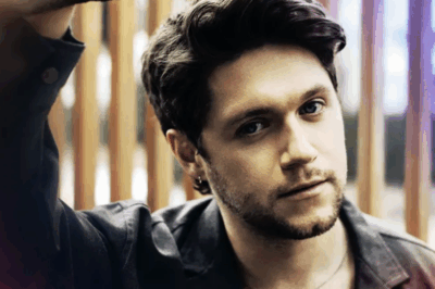 Niall Horan shares ‘brutal reality’ of being part of One Direction