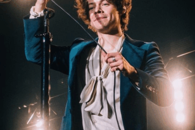 Marriage is a lifelong happiness…but Harry Styles doesn’t think so! Former One Direction star only ‘likes love’ not ‘likes marriage’