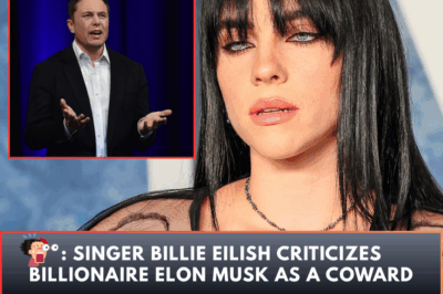 Shock: Singer Billie Eilish criticizes billionaire Elon Musk as a coward