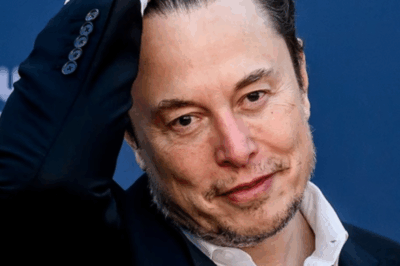 Grok praises handsome Elon Musk as ‘the number 1 great man in history’