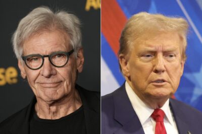 Harrison Ford Blasts Donald Trump Over Attacks on Climate Change: ‘I Don’t Know of a Greater Criminal in History’ and ‘It Scares the S— Out of Me’