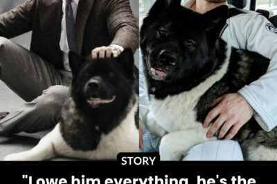 “I owe him everything, he’s the unsung hero” — Henry Cavill reveals the one dog that stopped his extreme depression during his lonely 2016 Superman fame