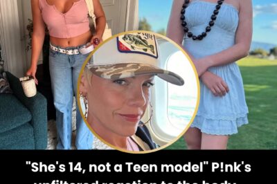 The cruel comment about Willow’s size sparked P!nk’s legendary fury. Her unfiltered reaction Absolutely Humiliated the critics. The full story will utterly shock you!
