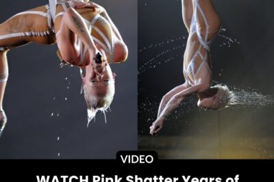 Watch Rod Stewart—once dismissed as a fading relic—ignite Copacabana Beach as 3.5 million fans roar, forcing Guinness to rewrite music history.