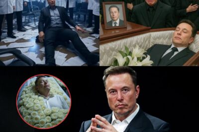 The meeting room fell into chaos the moment Elon Musk collapsed— one second he was presenting bold plans to investors, the next he was on the floor, motionless, as panic spread through the room