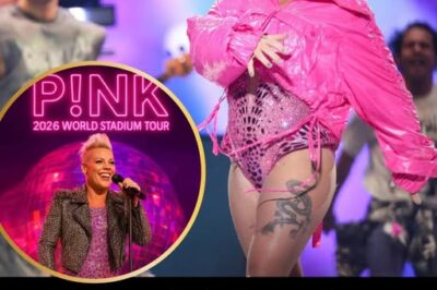 P!nk Reveals the Unseen Stage Mishap That Almost Forced Her to Cancel the Entire Mexico Leg of Her Tour 2026
