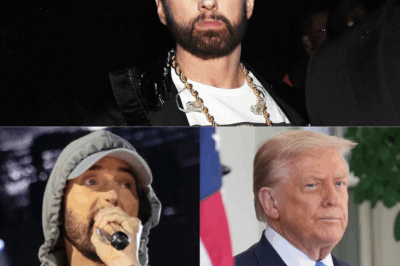 Eminem’s Comments on ‘F*cking Billionaire’ Trump From 2017 Complex Interview Are Going Viral