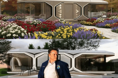 BREAKING: ELON MUSK STUNS THE WORLD WITH $7,999 TESLA TINY HOUSE — FREE LAND, ZERO TAXES, AND A FUTURE REDEFINED