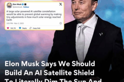 Elon Musk proposes using AI satellites to block sunlight and control climate change
