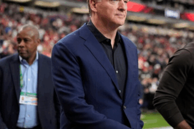 Roger Goodell just dropped a bombshell that will change the NFL forever. Private equity owners? A new federal holiday? What we heard will shock you.