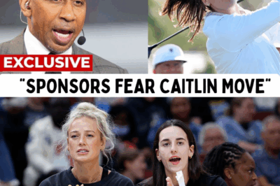 The WNBA’s house is on fire. A leaked memo reveals total sponsor panic as the league’s foundation cracks. The reason? They failed their biggest star, and now she’s proving she’s bigger than the league itself. The full, shocking story is below.