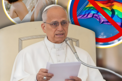 Pope Leo says blessing same-sex weddings is ‘not what the Church teaches’
