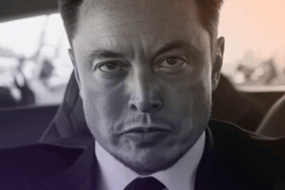 GOOD NEWS: Elon Musk hits a ‘gold mine’, causing Tesla sales here to set a spectacular record