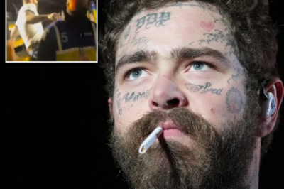 Oh, his butt!!! Post Malone fell painfully off the stage in the middle of the concert.