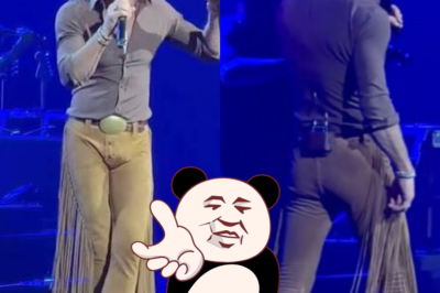 Tim McGraw became the target of some teasing and ridicule from fans for wearing Lainey Wilson-style fringed flared pants.