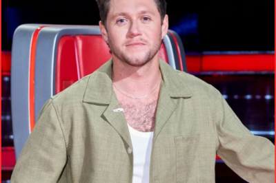 Niall Horan replaced from ‘The Voice’ final performance after ‘rough couple of weeks’