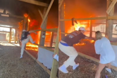 OMG!! A Nashville country music artist risked his life by running into a fire to save his livestock.