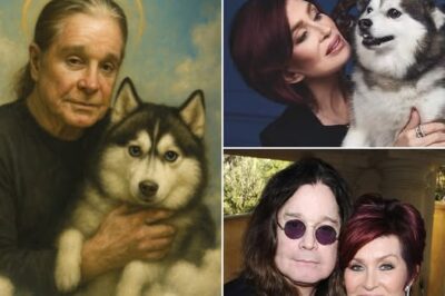 HE FOLLOWED HIS MASTER’S VOICE.” It wasn’t just a dog — it was Ozzy’s shadow. When Elvis passed away last week, Sharon didn’t just lose a pet. She lost the last creature in the house who still ran to the sound of Ozzy’s guitar.