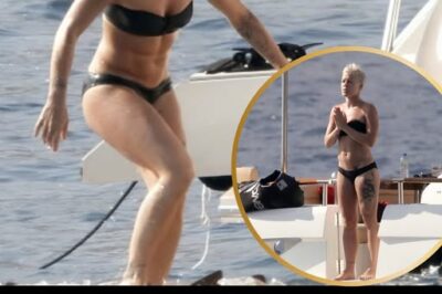 P!nk’s Unseen $50M Tour Cost: The Brutal Body Shaming That Sparked Her Viral Clapback