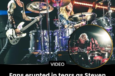 Fans erupted in tears as Steven Adler finally returned to the drum kit with Guns N’ Roses after 26 years, smiling wide as he delivered a flawless performance. After 26 long years, the original drummer of Guns N’ Roses, Steven Adler, finally rejoined his bandmates on stage during the “Not In This Lifetime…” Tour. It was a priceless, emotional moment in Cincinnati, Ohio, that fans had waited decades for. Watch the beloved drummer, with his signature smile, deliver a flawless performance on two Appetite for Destruction classics. See which legendary songs he played!