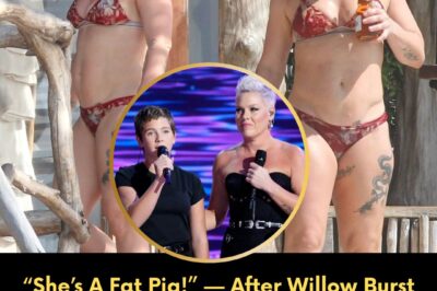 Willow found the darkest corner of the internet where trolls called her mother a “fat pig,” and her heart broke. But P!nk didn’t just hug her; she delivered a life-changing lesson on beauty that stopped the tears instantly. You need to see how she turned hate into power…