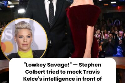 “Lowkey Savage!” — Stephen Colbert tried to mock Travis Kelce’s intelligence in front of Taylor Swift – But P!nk’s reaction proved he was worthy of his current success