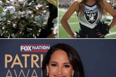 Courtroom by Day, NFL Sideline by Night: The Astonishing Double Life of Emily Compagno