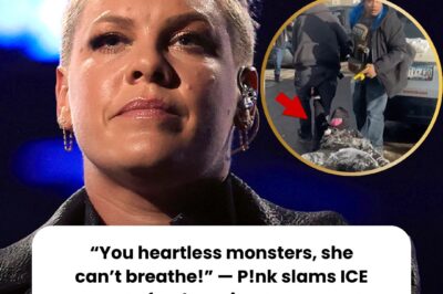 “You heartless monsters, she can’t breathe!” — P!nk slams ICE agents for dragging a pregnant woman, sparking a massive nationwide backlash against the agency today