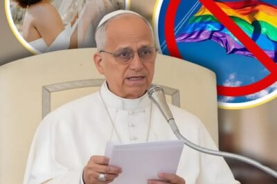 Pope Leo says blessing same-sex weddings is ‘not what the Church teaches’