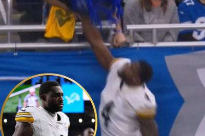 DK Metcalf Drops Bombshell in NFL Appeal Hearing: Shocking Revelation Could Change the Entire Case Against Lions Fan