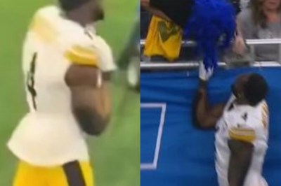 VIDEO SHOCKING NEW ANGLE EXPOSES DK Metcalf’s VICIOUS ATTACK on Lions Fan—You Won’t BELIEVE What He Did Next