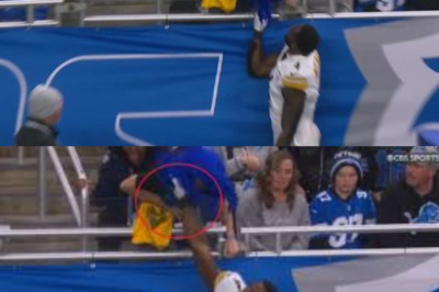 BREAKING: The one unforgivable thing a Lions fan screamed at DK Metcalf just before he snapped—this is WAY worse than trash talk.