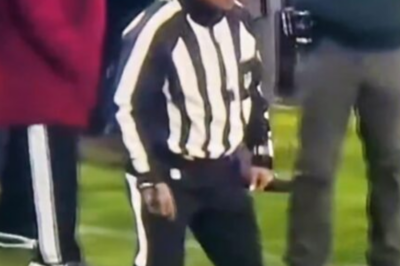 Ref BLINDFOLDS justice! Video proves official THREW FLAG without even LOOKING at the play. The league doesn’t want you to see this.
