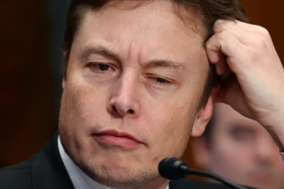 Elon Musk responds to a former MSNBC host calling for 2028 Democrats to prosecute him