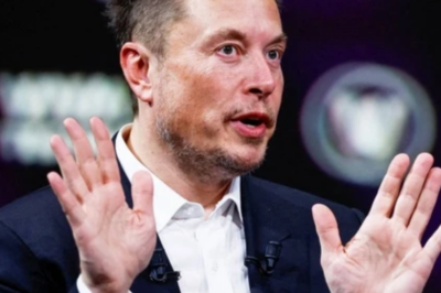 Elon Musk calls the British government a ‘prison island’.