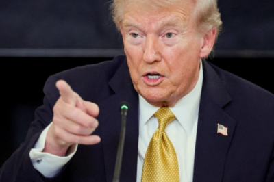 Germany declares Trump has crossed the ‘limit’, calls on the EU to ‘unite’ to make the US president ‘pay the price’.