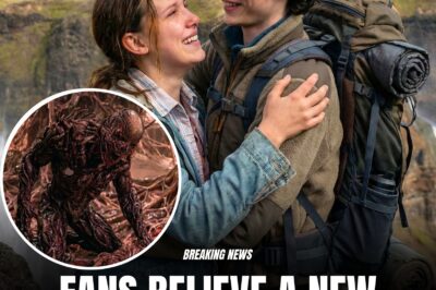 Stranger Things creators debunk major fan theory after ‘ambiguous’ finale