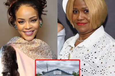 “He provided for my family for years – then one day, Rihanna bought the building,” Rihanna’s mother recalled the difficult times when they couldn’t afford food. A small restaurant owner contacted Rihanna’s family. Now, Rihanna returned, not to eat, but to quietly, unostentatiously, hand him a check for $87,000. On the restaurant wall, Rihanna hung a sign with a message that made the owner tremble and sit down.