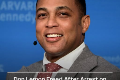 Don Lemon Speaks Out After Release From Jail: ‘I Will Not Be Silenced’
