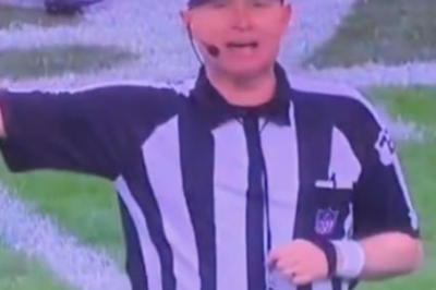 OFFICIAL: Refs Confirm They Robbed The Panthers In Blown Call That Altered The Game