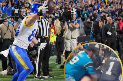 SHOCKING STADIUM BRAWL: Panthers Fan SNAPS, Leaves Rams Fan’s Face Bloody in Brutal Stands Attack