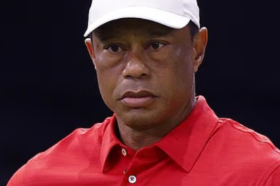 You might be disappointed! Tiger Woods continues to announce the possibility of returning to professional competition.
