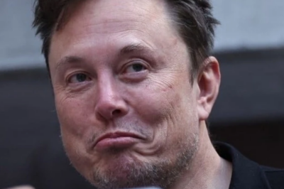 France “breathes down the neck” of Elon Musk’s X platform.