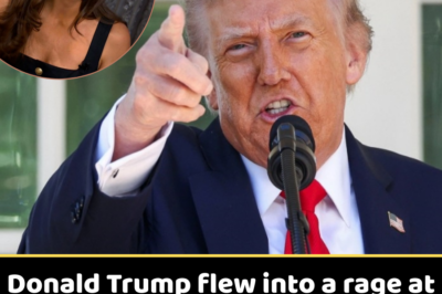 Donald Trump flew into a rage at CNN star Kaitlan Collins after she asked about the Epstein dossier.